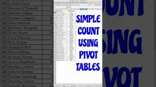 Simple count using pivot tables 