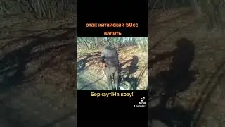 Дефиант Артеко!Сток Китайский скутер Defiant!