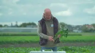 PV991 - Beans | Product Demo Video (EN)