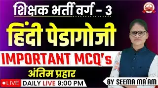 MPTET VARG 3 | हिन्दी पेडागोजी  |  Varg 3 New Vacancy 2024 | MPTET Varg 3 Hindi Pedagogy mcq's