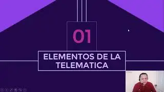Telematica Empresarial