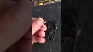 находки за неделю. конец мая начало июня