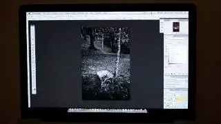 Ming Thein | photographer: B&W Photoshop workflow walkthrough