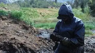 Playing in manure 3