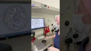 в прикрепленном комментарии ссылка на аккаунт