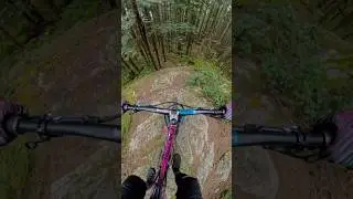 Going Down #freeride #mtb
