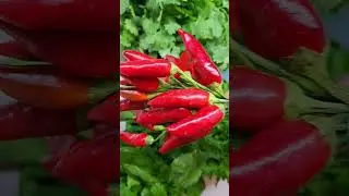 Купила кинзу, завтра буду кое-что готовить)))😁😁😁