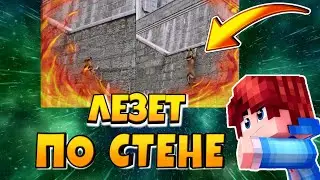 СОБАКА ИЗ TikTok ЛЕЗЕТ ПО СТЕНЕ 1 ЧАС!