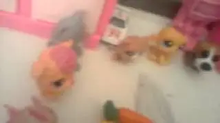 Lps лучший дом 1 сезон 5 серия