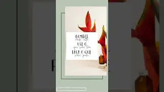 campeonato NNEBJJ - CEARÁ 2022 13.03.2022
