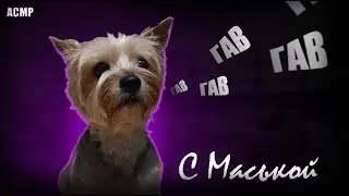 Маськина рутина АСМР | ASMR