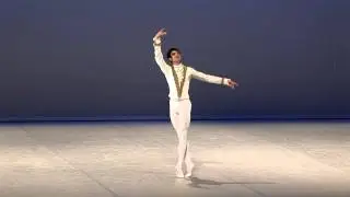 Wentao Li - 2013 Selections - Classical variation