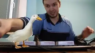 ПАПАНЯ И ГУСЬ