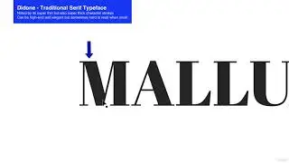 Typography [Graphic Design Masterclass - Learn GREAT Design 2021]