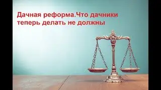 Дачная реформа. Что дачники теперь делать не должны