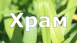 05 Архат   Храм
