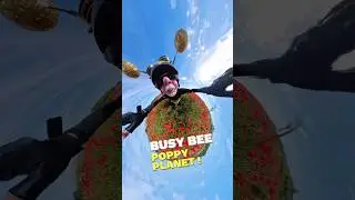 Busy Bee's Crazy Poppy Planet! #busybee  #poppyplaytime #poppy #farmville  #insta360 #bee @insta360
