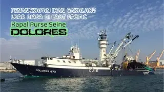Fishing Vessel DOLORES - Extraordinary skipjack tuna fishing in the Pacific Ocean