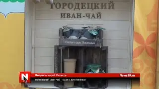Городецкий иван-чай - сила и дух Пинежья