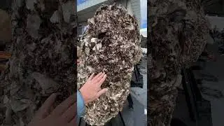 Tucson Gem & Mineral Show 2024 