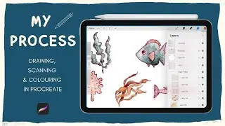 My Illustration Process   From Pencil Drawing to Scanning to Coloring in Procreate