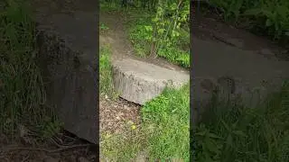 ДОТ в Битце 