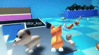 Pet🐶 escape 2 Roblox