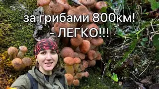 Местные обалдели от нашего улова! Еще бы, не зря 800км пёрлись😁