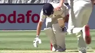 Joe Root Again Hit On Groin 😂😂  3rd Test ashes 2021|| Eng vs Aus || Australia Won Match 