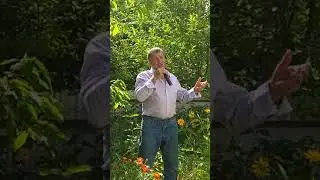 2 июля 2020 г.