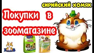 ПОКУПКИ В ЗООМАГАЗИНЕ. ЗООШОПИНГ ДЛЯ ХОМЯКА.