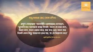 Sahih Hadith সহীহ হাদীস