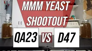 Yeast Shootout - Lalvin QA23 vs Lalvin D47