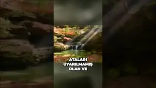 Yasin suresi Türkçe meali