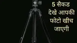 best funny whatsapp status