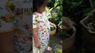 siapkan bunga nyekar makan yangkung