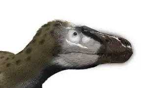 Nanotyrannus: The Dwarf T-rex That Wasn’t