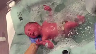 Newborn babies first bath in the hospital