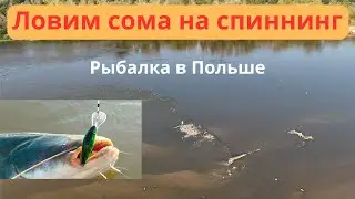Рыбалка на сома на Висле Рыбалка в Польше Рыбалка в Варшаве Рыбалка на спиннинг