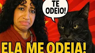 Minha gata me odeia!Veja o que ela faz...