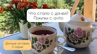 Что с дачей?👀 Как идет стройка дома?🏡 Покупки с avito🛍️