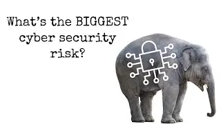 What's The Biggest Cyber Security Risk?
