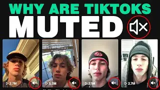 Why Are TikTok Songs Being Muted (Universal Music Group Apocalypse)