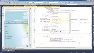 Wpf | Naby | 13 | Databinding & Tri CollectionView | Chap. 13/15