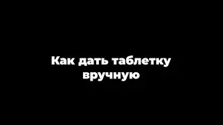 Как дать таблетку питомцу