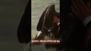 🤩Әлемге әйгілі бүркітші қыз «ХабарLike» бағдарламасында қонақта