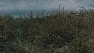 Nortas - Sapnas