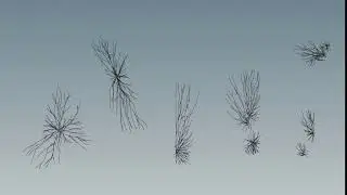 Houdini -  BWD vein branching (scene file)