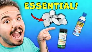 5 ITEMS Every Fish Keeper Needs!