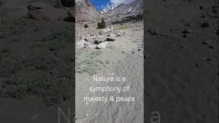 Nature does the body good! #solofemaletraveler #nature #mtshasta #motherearth #peaceful #mountain